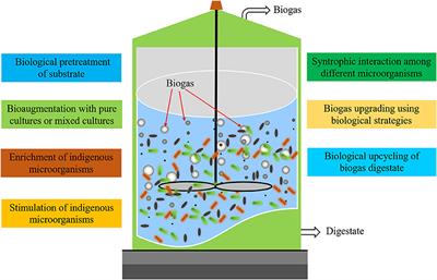 Editorial: Biological Strategies to Enhance the Anaerobic Digestion Performance: Fundamentals and <mark class="highlighted">Process Development</mark>